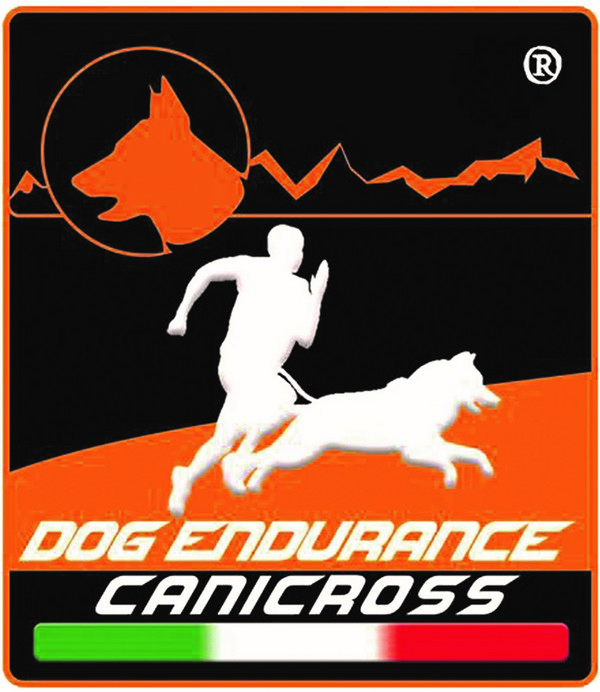 dog endurance